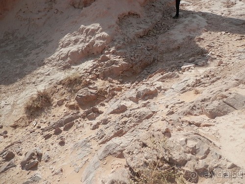 Крепости древнего Хорезма