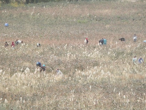 Крепости древнего Хорезма