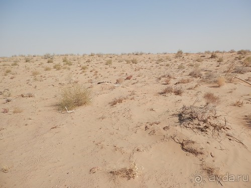 Крепости древнего Хорезма