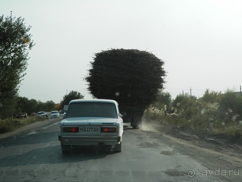 Крепости древнего Хорезма