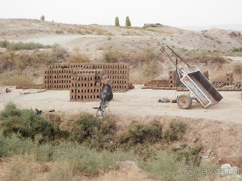 Крепости древнего Хорезма