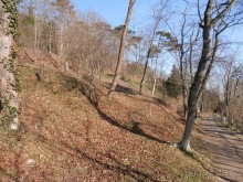 Баден - термальные источники и Венский лес