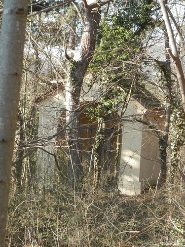 Баден - термальные источники и Венский лес