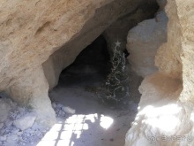 Баден - термальные источники и Венский лес