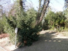 Баден - термальные источники и Венский лес