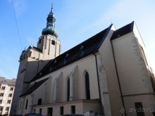 Баден - термальные источники и Венский лес