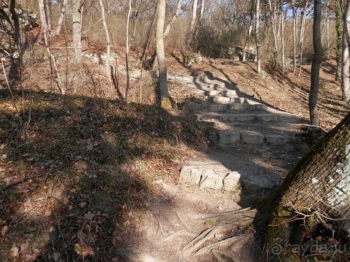 Баден - термальные источники и Венский лес