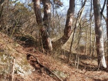 Баден - термальные источники и Венский лес