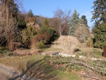 Баден - термальные источники и Венский лес