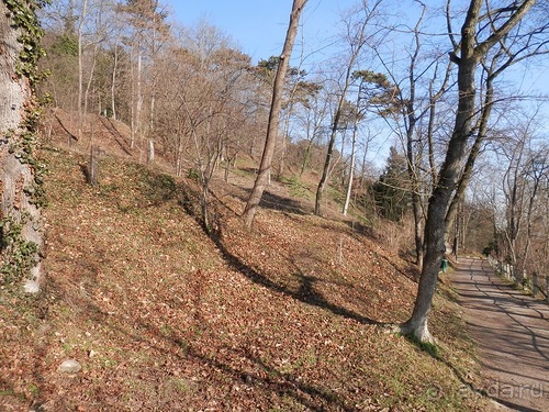 Баден - термальные источники и Венский лес