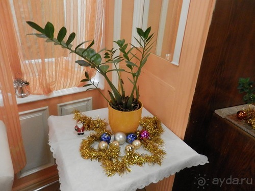 Баден - термальные источники и Венский лес