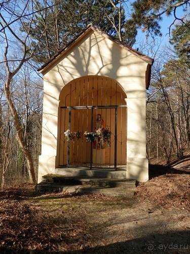 Баден - термальные источники и Венский лес