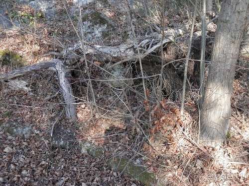 Баден - термальные источники и Венский лес