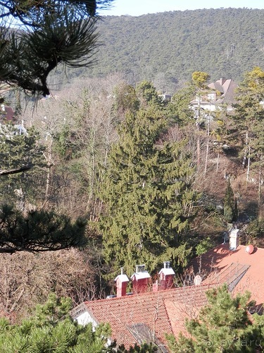 Баден - термальные источники и Венский лес