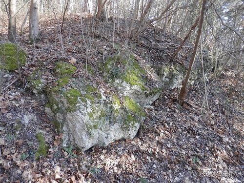Баден - термальные источники и Венский лес