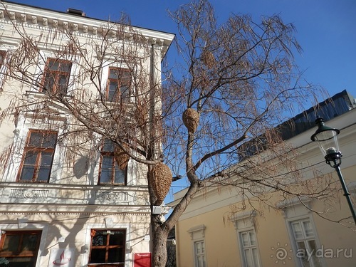 Баден - термальные источники и Венский лес