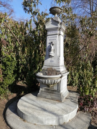 Баден - термальные источники и Венский лес