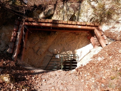 Баден - термальные источники и Венский лес