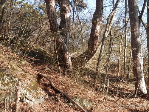 Баден - термальные источники и Венский лес