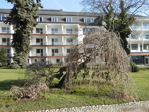 Баден - термальные источники и Венский лес