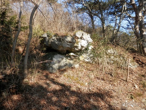 Баден - термальные источники и Венский лес