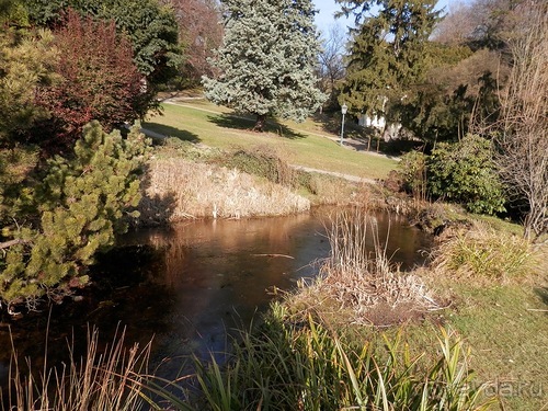 Баден - термальные источники и Венский лес