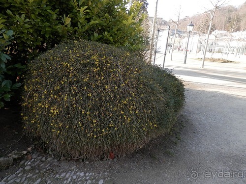 Баден - термальные источники и Венский лес