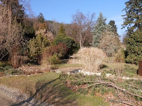 Баден - термальные источники и Венский лес