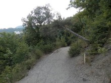 Прогулка в Ливадию