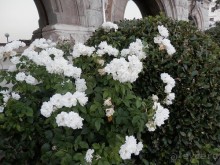 Прогулка в Ливадию