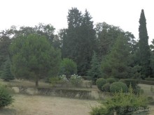 Прогулка в Ливадию