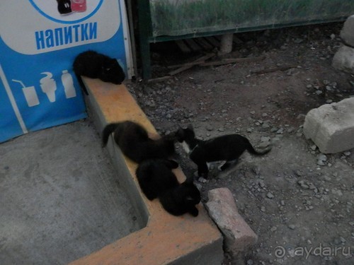 Прогулка в Ливадию