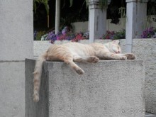 Прогулка в Ливадию