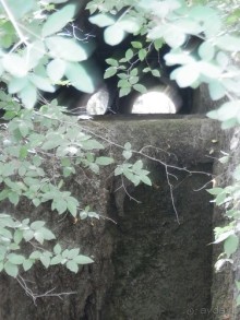 Прогулка в Ливадию