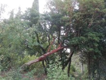 Прогулка в Ливадию