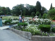 Прогулка в Ливадию