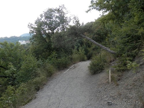 Прогулка в Ливадию