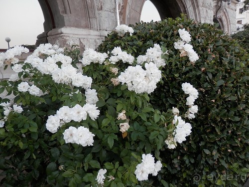 Прогулка в Ливадию