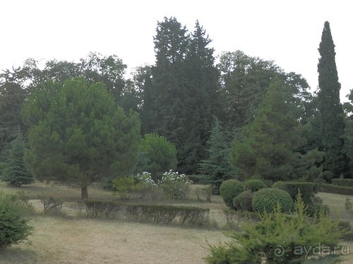 Прогулка в Ливадию