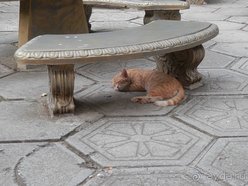 фото Ливадии