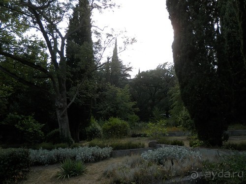 Альбом отзыва "Прогулка в Ливадию"