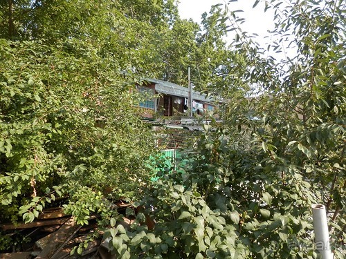 Альбом отзыва "Прогулка в Ливадию"