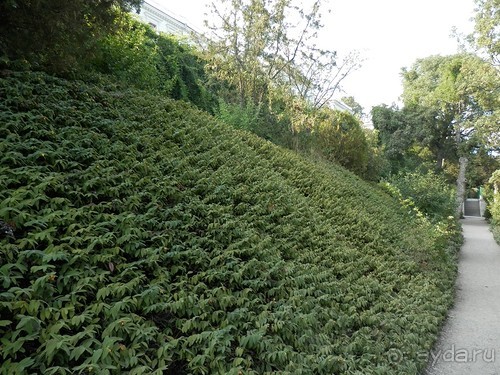 Прогулка в Ливадию