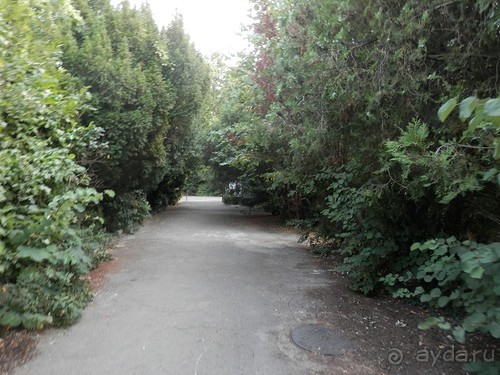 фото Ливадии