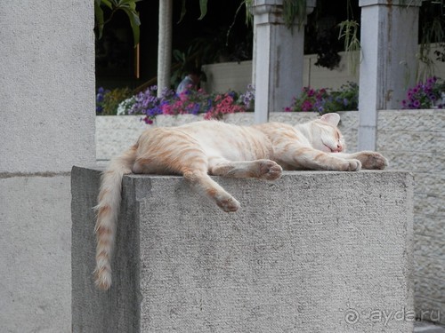 Прогулка в Ливадию