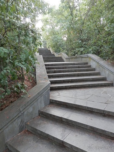 Прогулка в Ливадию