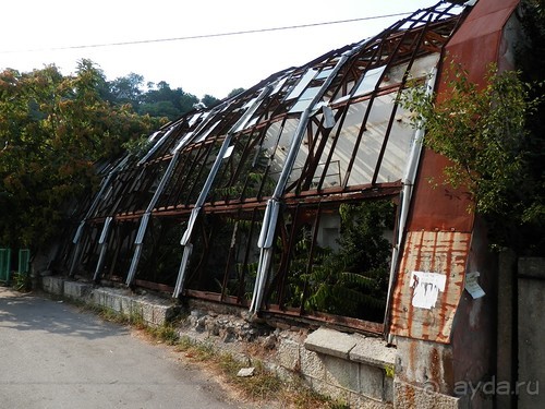 Альбом отзыва "Прогулка в Ливадию"