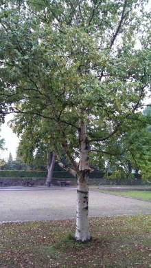 Оденсе - город Андерсена