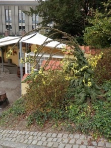 Оденсе - город Андерсена