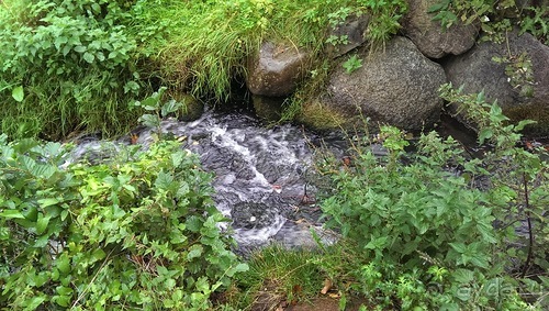 Оденсе - город Андерсена